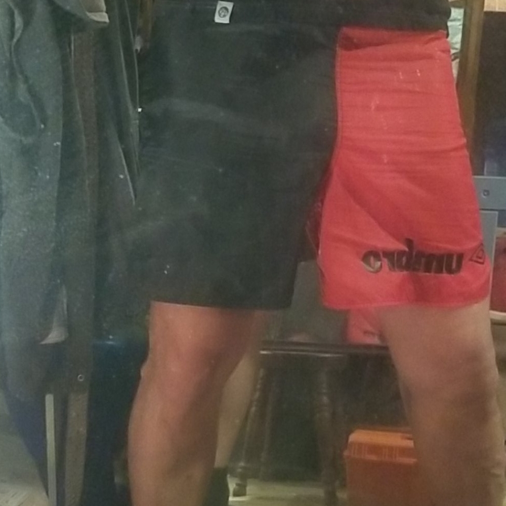 Shorts - Picture 4 of 4